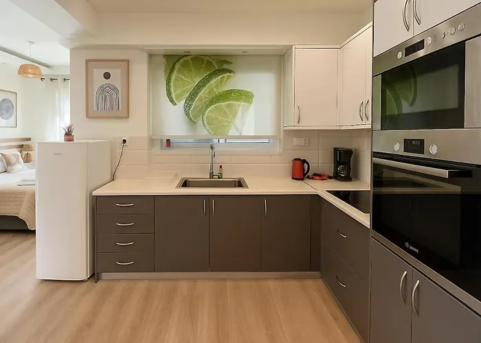 Apartman καλαίσθητο ηλιόλουστο Hriszí Aktí Haniá